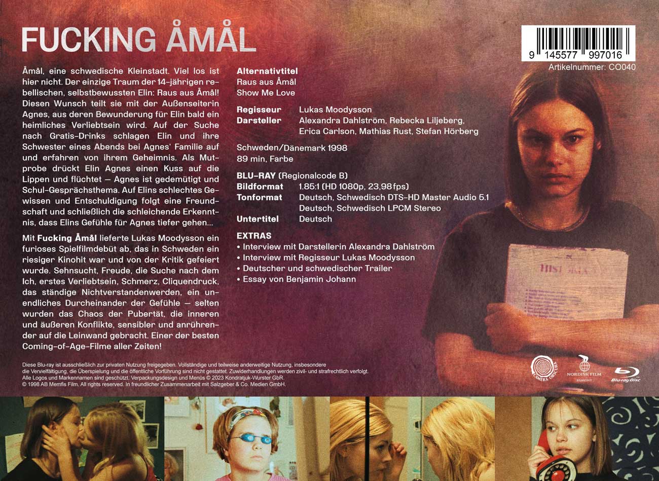 Fucking Åmål (Raus aus Amal)